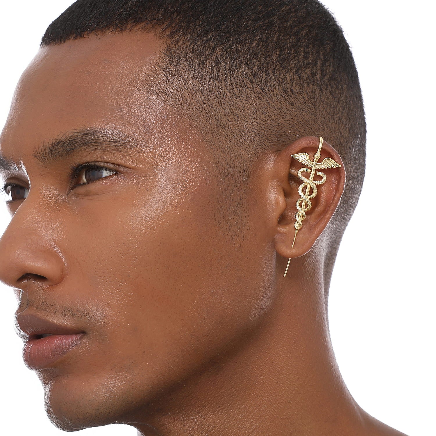 Caduceus - Image 7