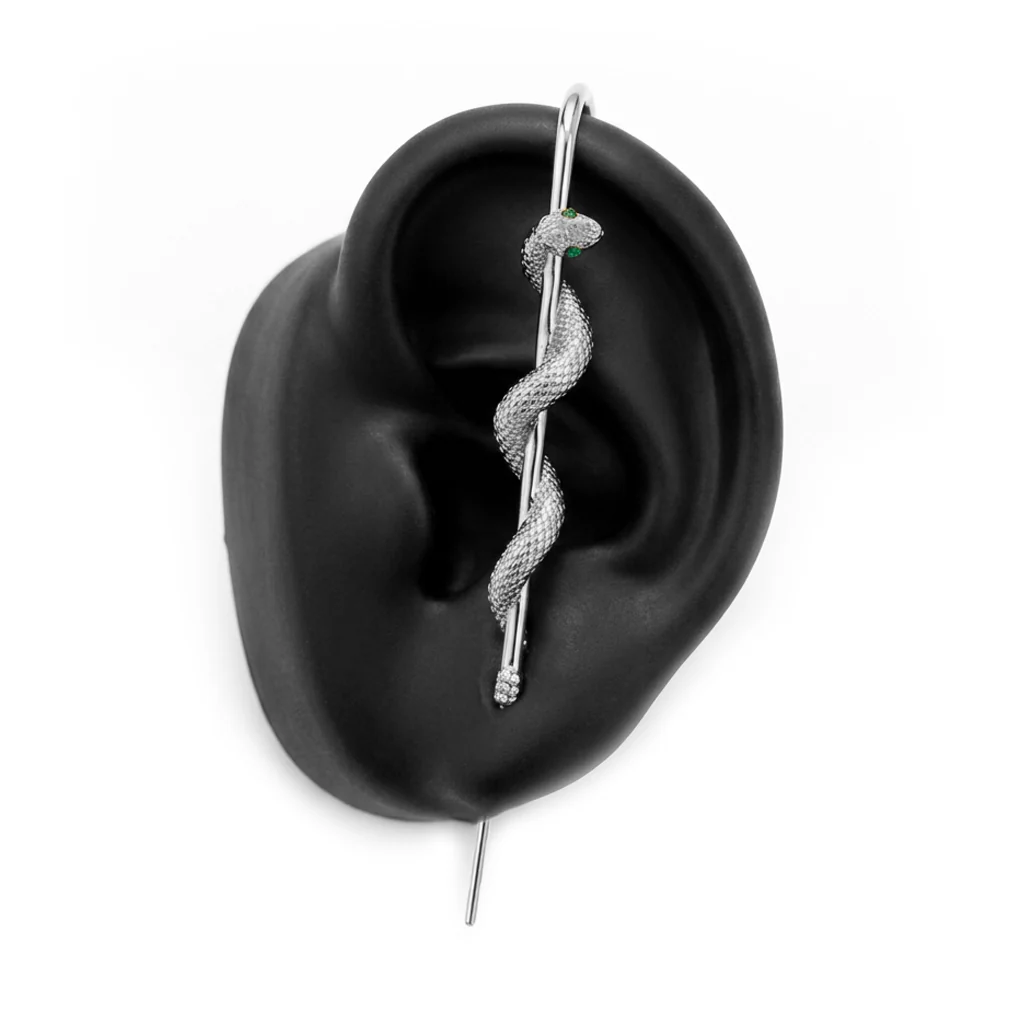Coiled Snake - Image 14