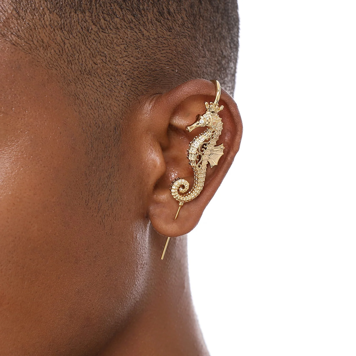 Imperial Seahorse - Image 8