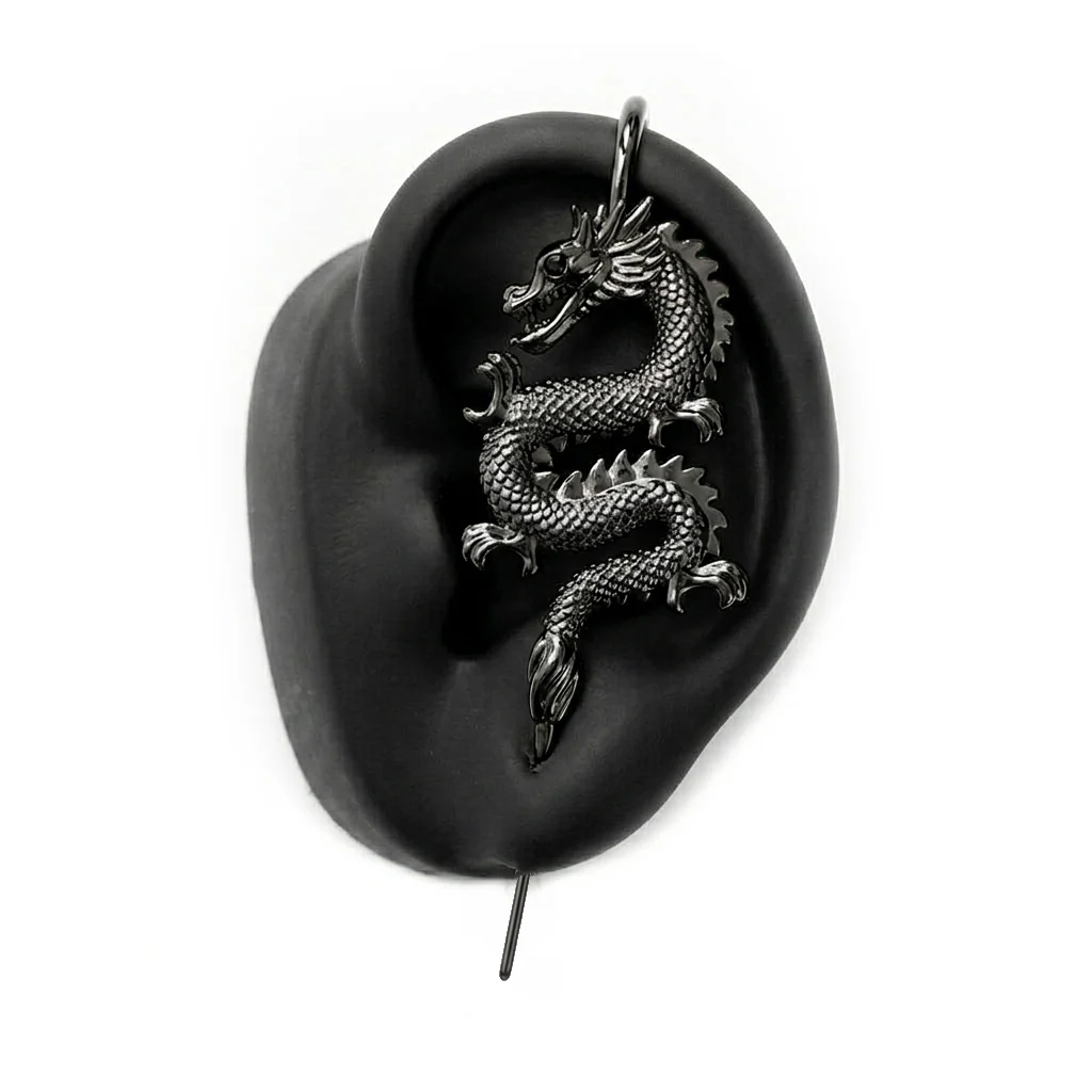 Tianlong 天龙 - Image 19